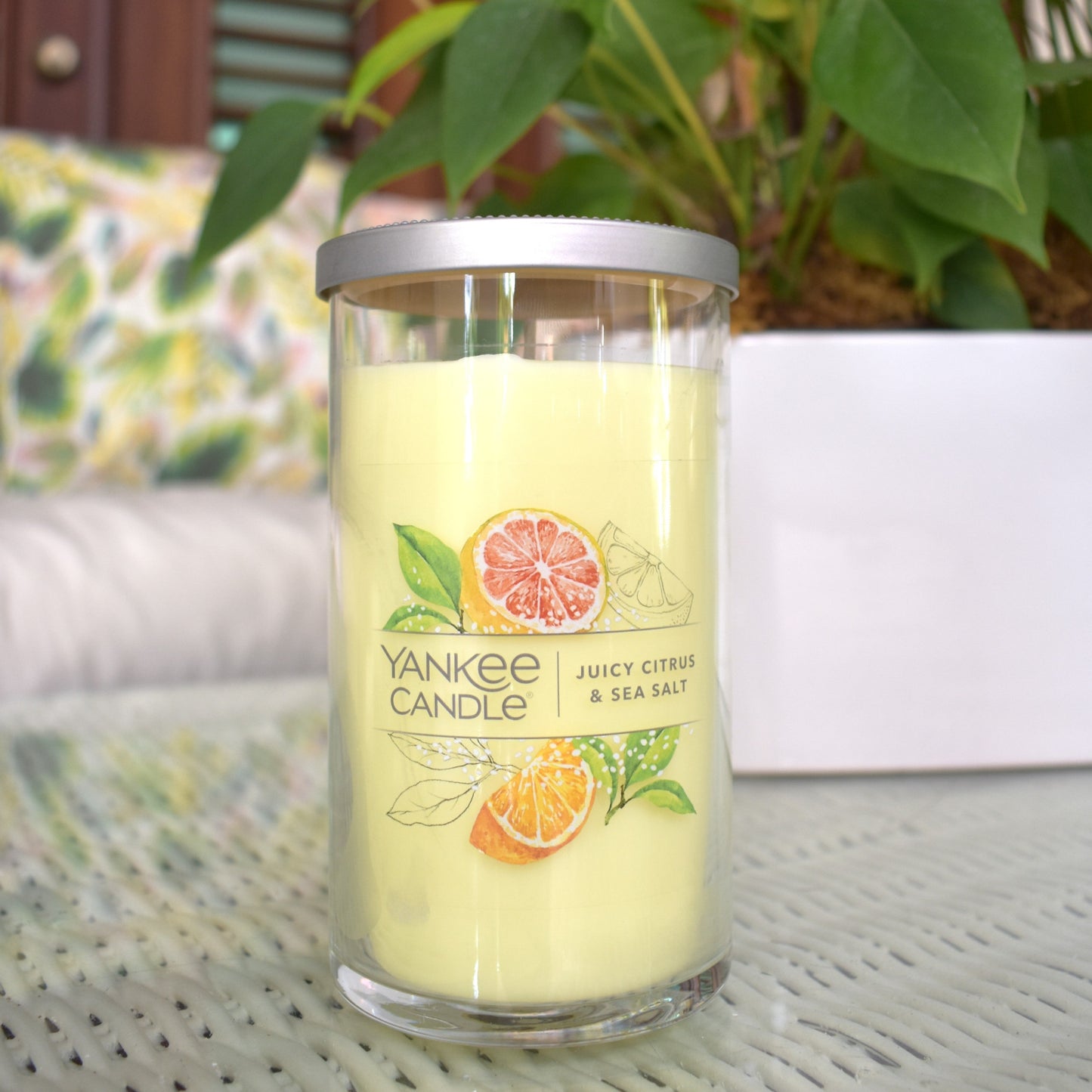 Juicy Citrus & Sea Salt
